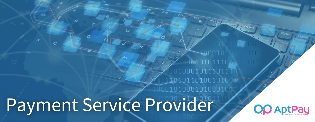 Payment service provider services and security