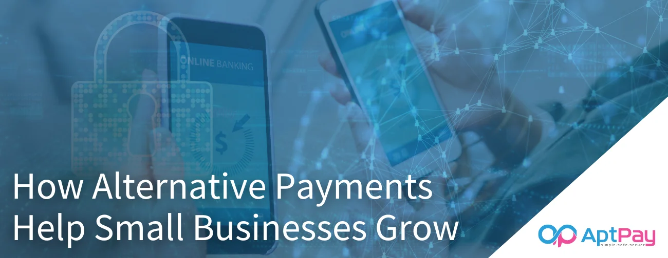 Alternative Payments for Small Businesses